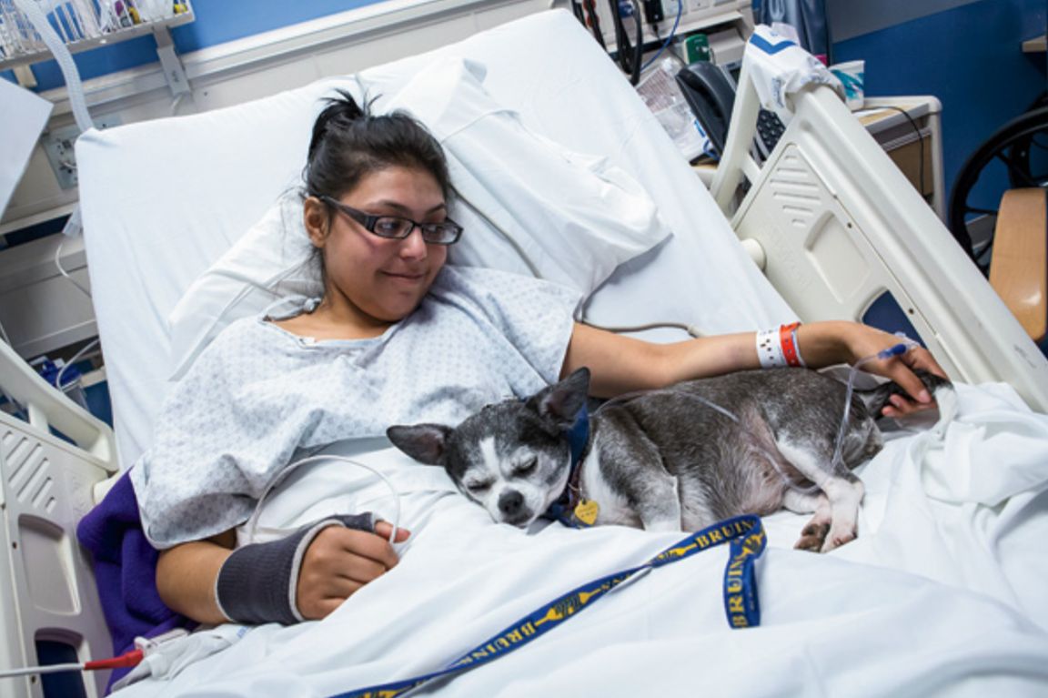 Patient’s Best Friend