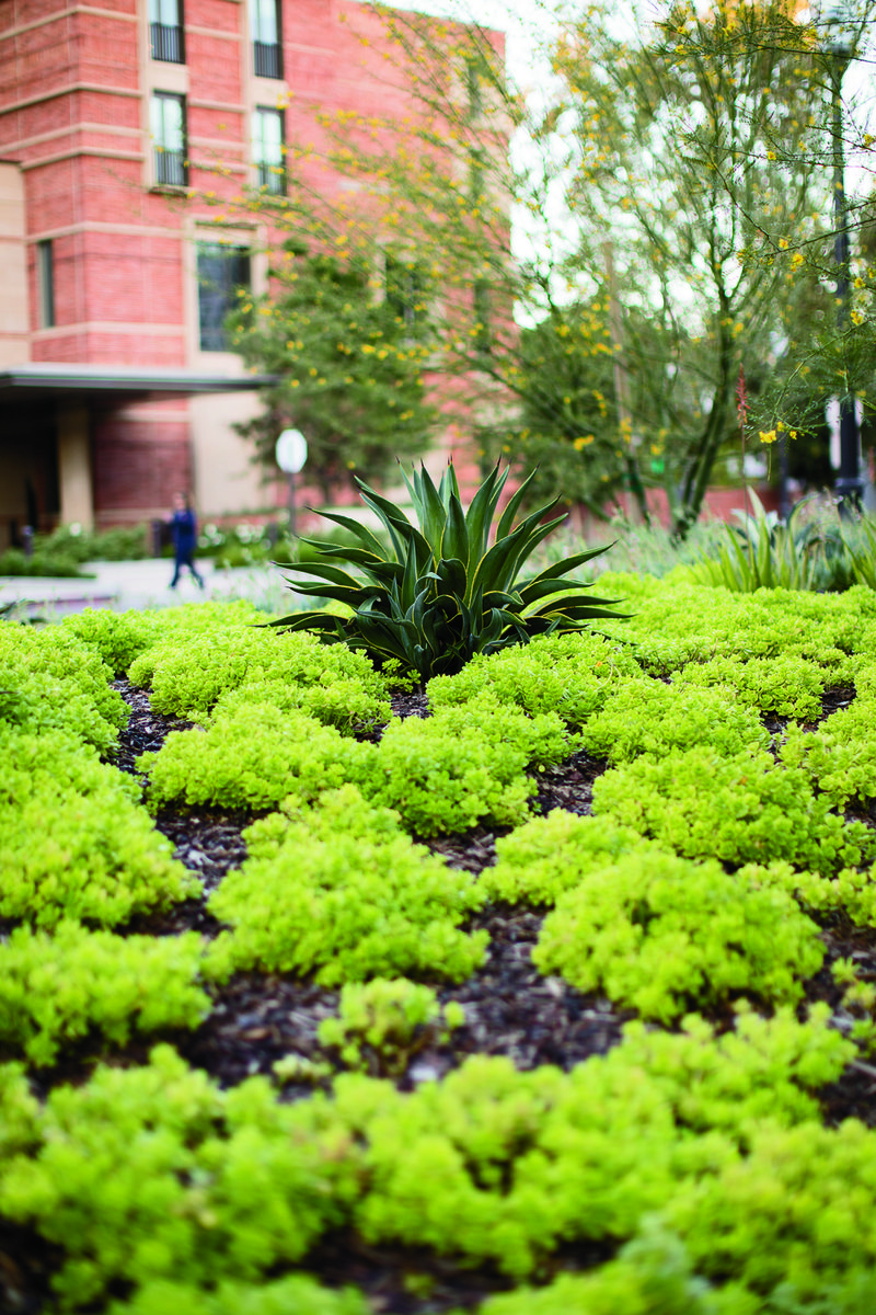 Luskin Conference and Guest Center