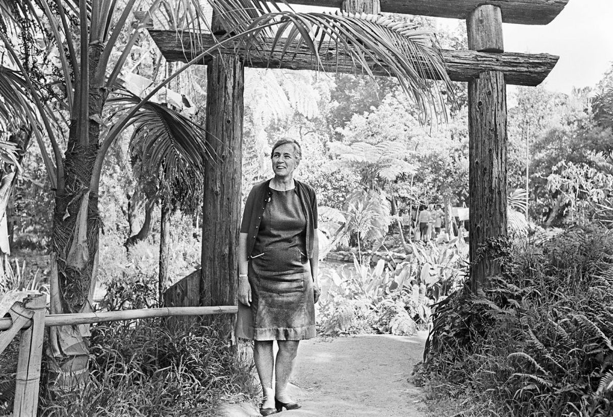 Mildred Mathias was a pioneering horticulturalist, botanist and conservationist who began her UCLA career in 1947. Mildred Mathias