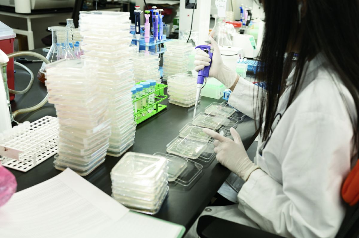 Lundquist laboratory