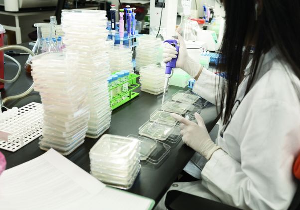 Lundquist laboratory