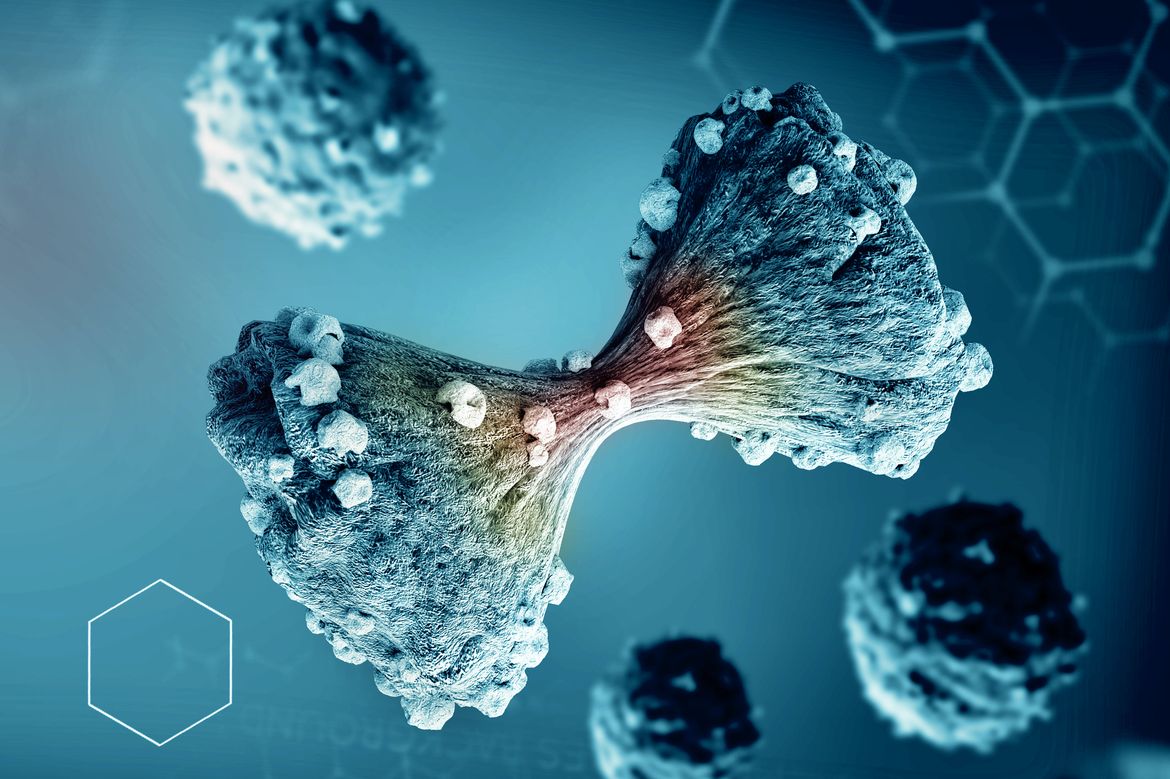 Pancreatic cancer cells dividing