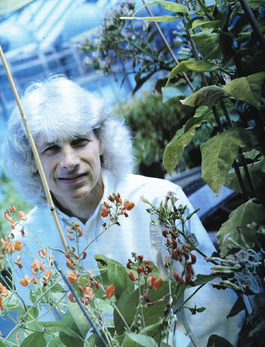 Bob Goldberg