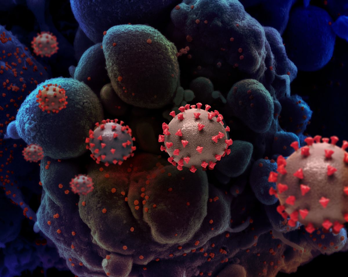 Coronavirus