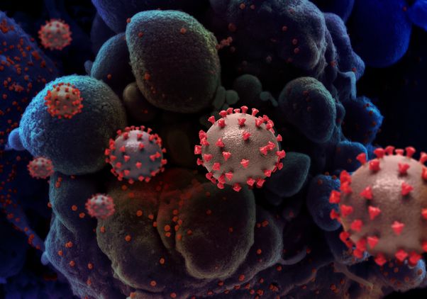 Coronavirus