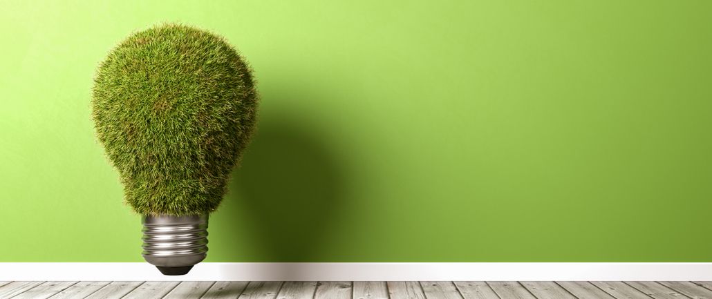 Light bulb made of grass