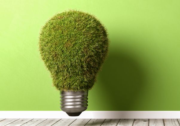 Light bulb made of grass