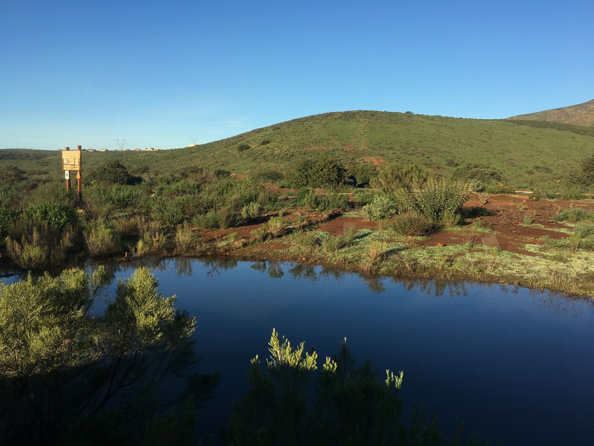 Vernal pool