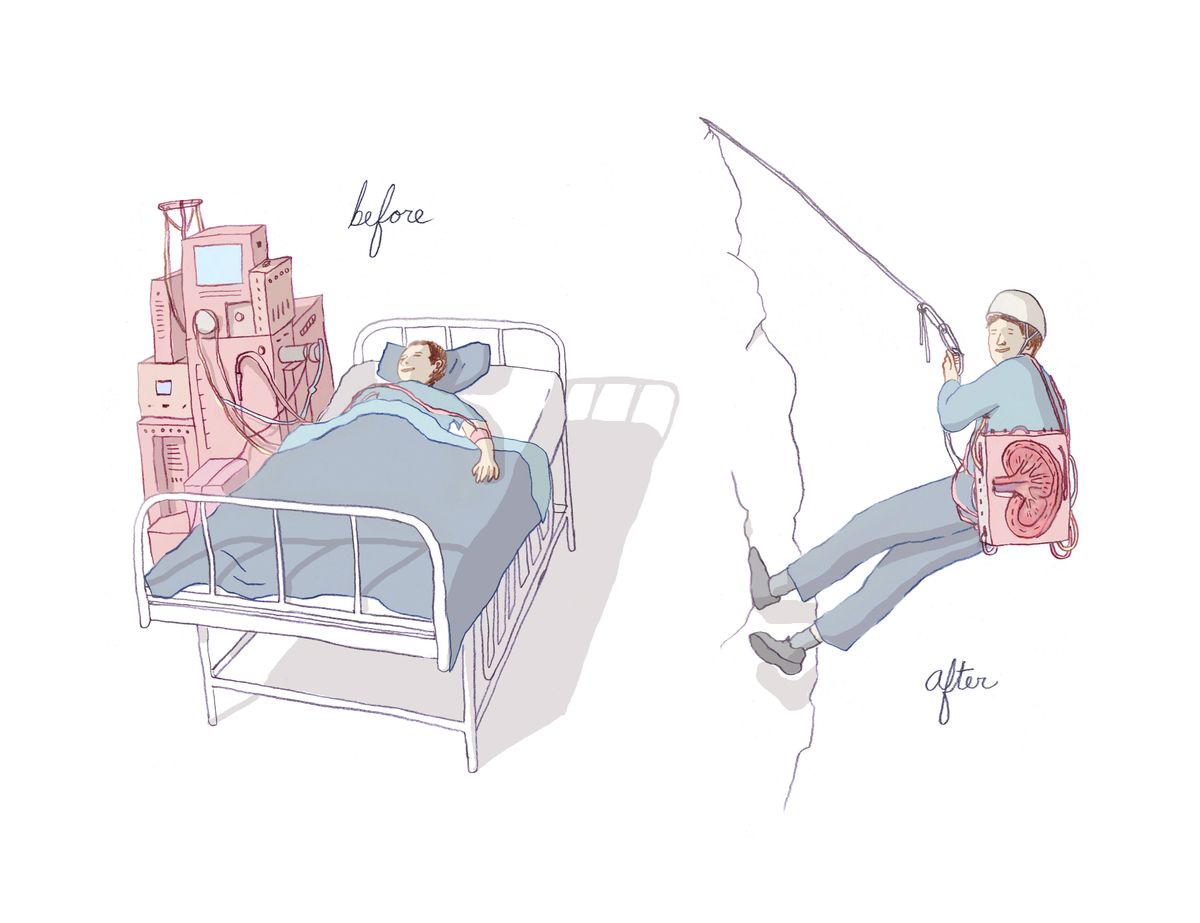 Portable Kidney