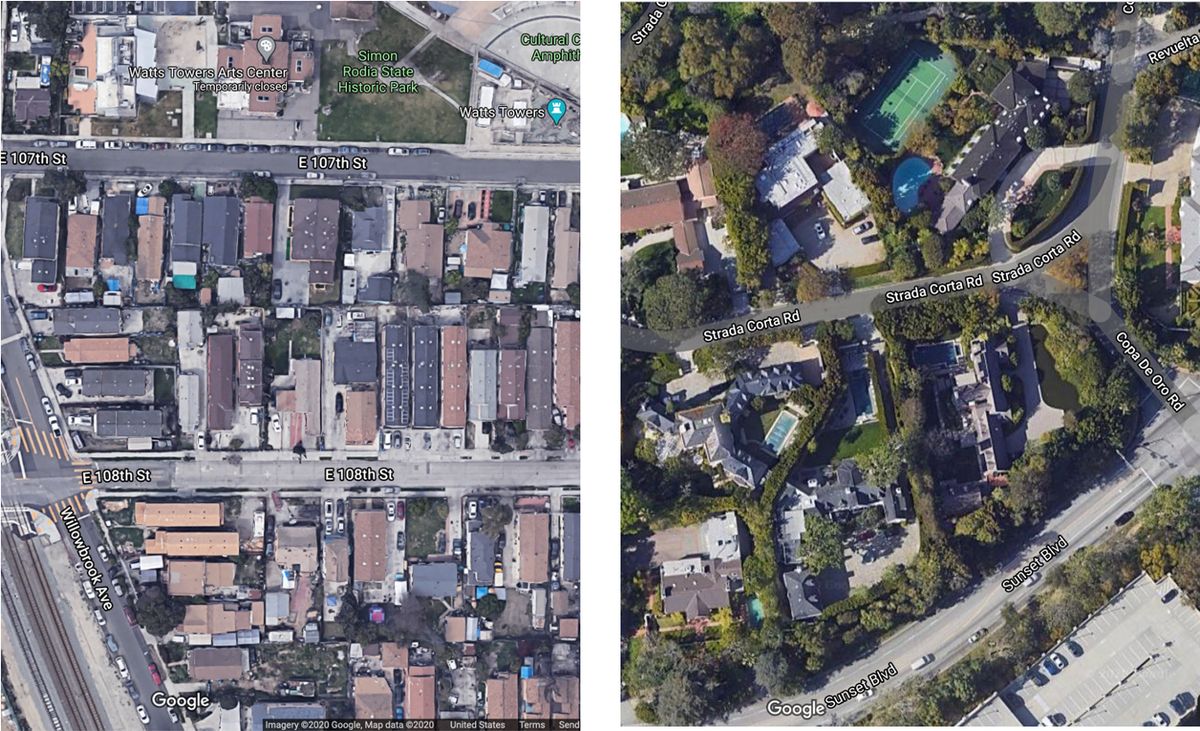 Differences in shade trees