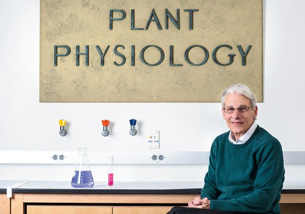 Robert Goldberg