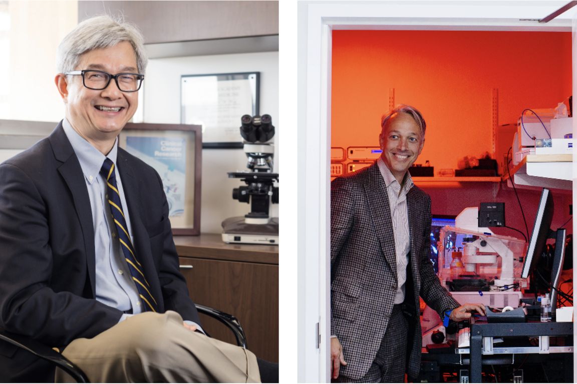 Dr. David Wong and Alexander Hoffmann