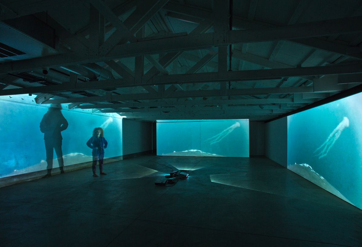 “From a Whale’s Back”