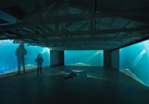 “From a Whale’s Back”