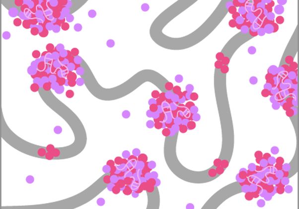 Illustration of Xist and other molecules on the X chromosome