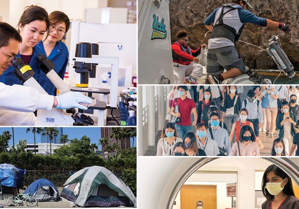 Diverse research subjects