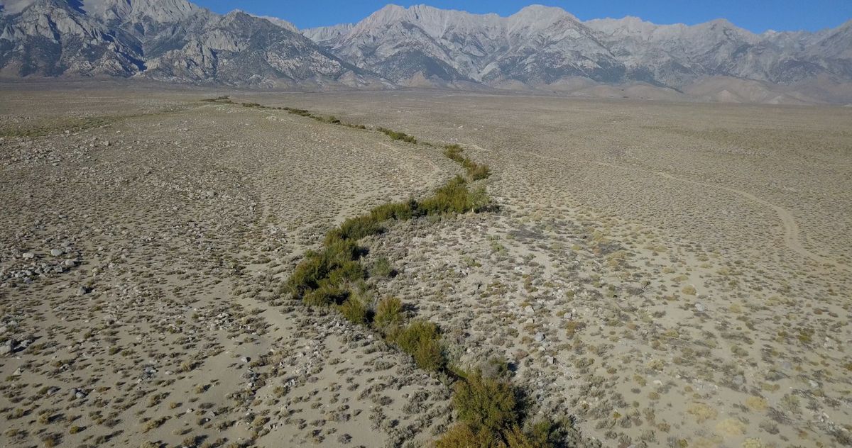 A scene from “Manzanar Diverted”