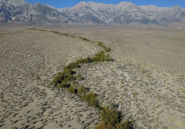 A scene from “Manzanar Diverted”