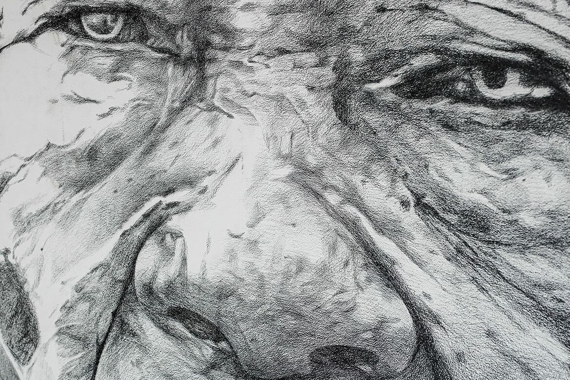 Head of a Woman III