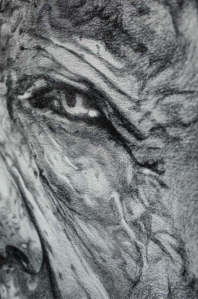 Head of a Woman III