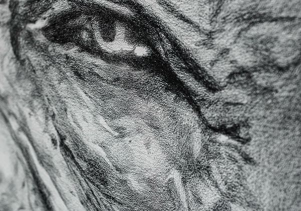 Head of a Woman III