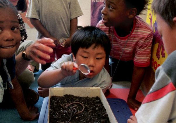 Children in science class