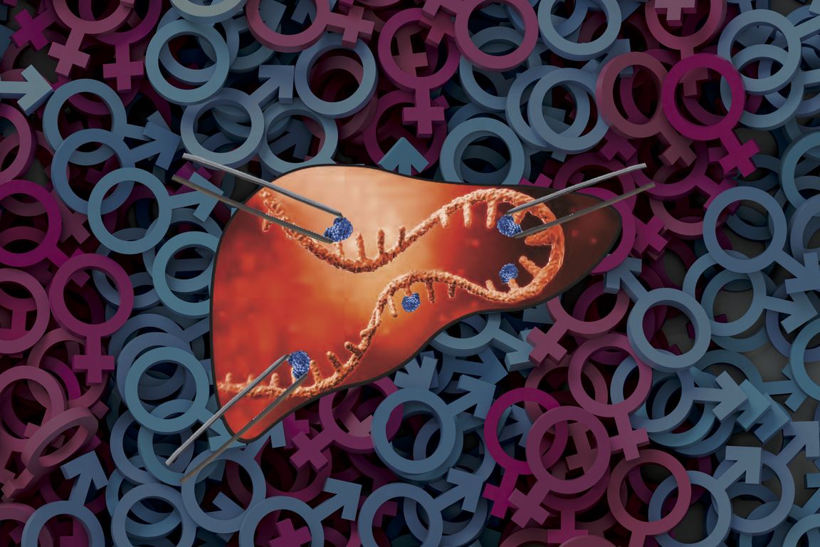 Schematic representation of m6A modifications (blue) attaching to RNA in the liver.