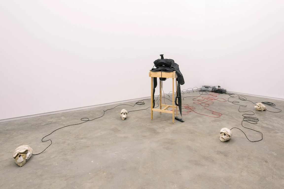 Brian Jungen, “The Evening Redness in the West,” 2006