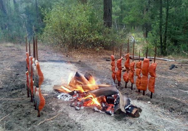 Salmon cooking open fire