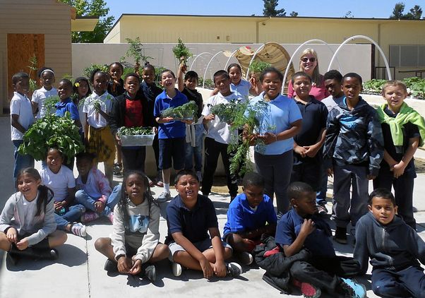 Brentwood Learning Garden Project