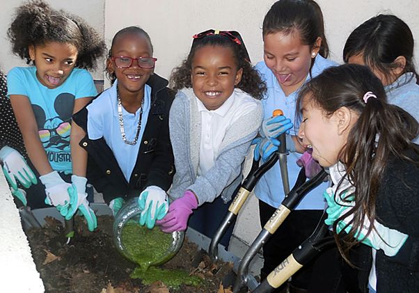 Brentwood Learning Garden Project