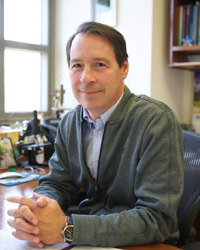 Peter Tontonoz UCLA Health