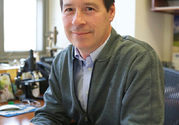 Peter Tontonoz UCLA Health