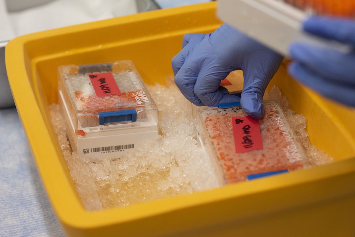 SwabSeq lab