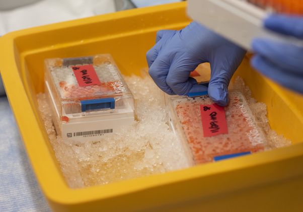 SwabSeq lab