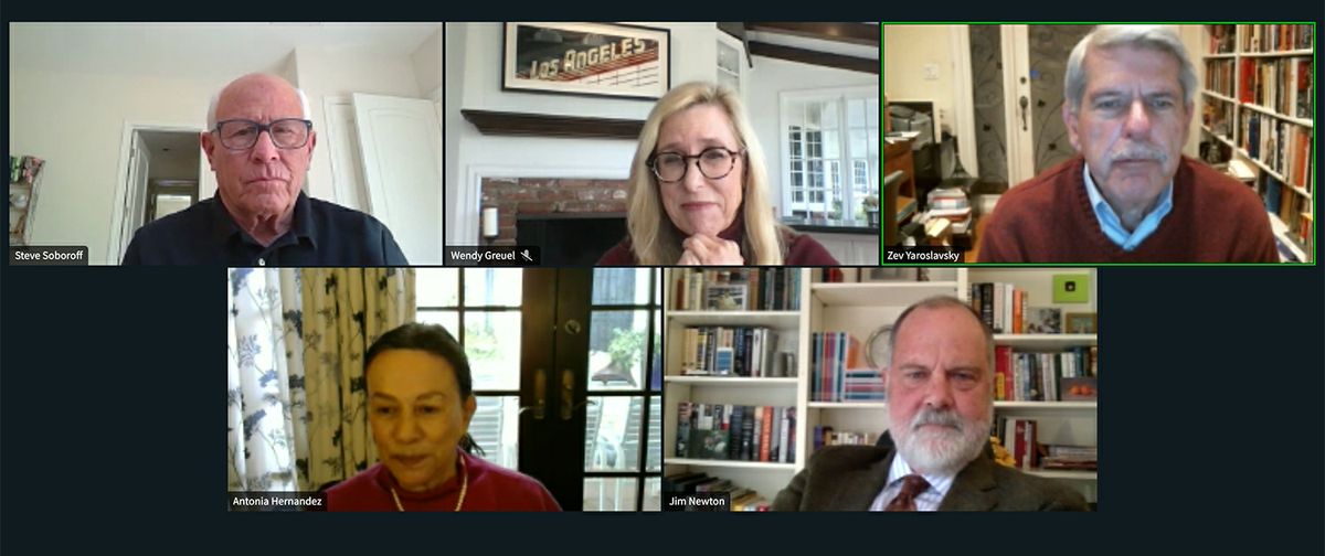 Zoom screen of Luskin Summit panelists
