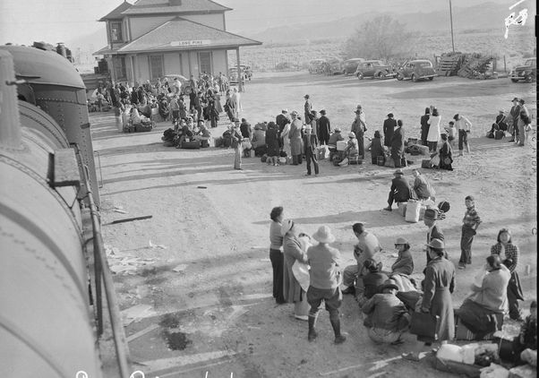 Japanese Americans in Lone Oine, California