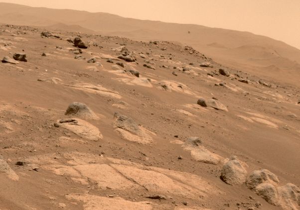 Surface of Mars