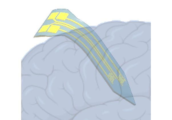 Soft brain probe