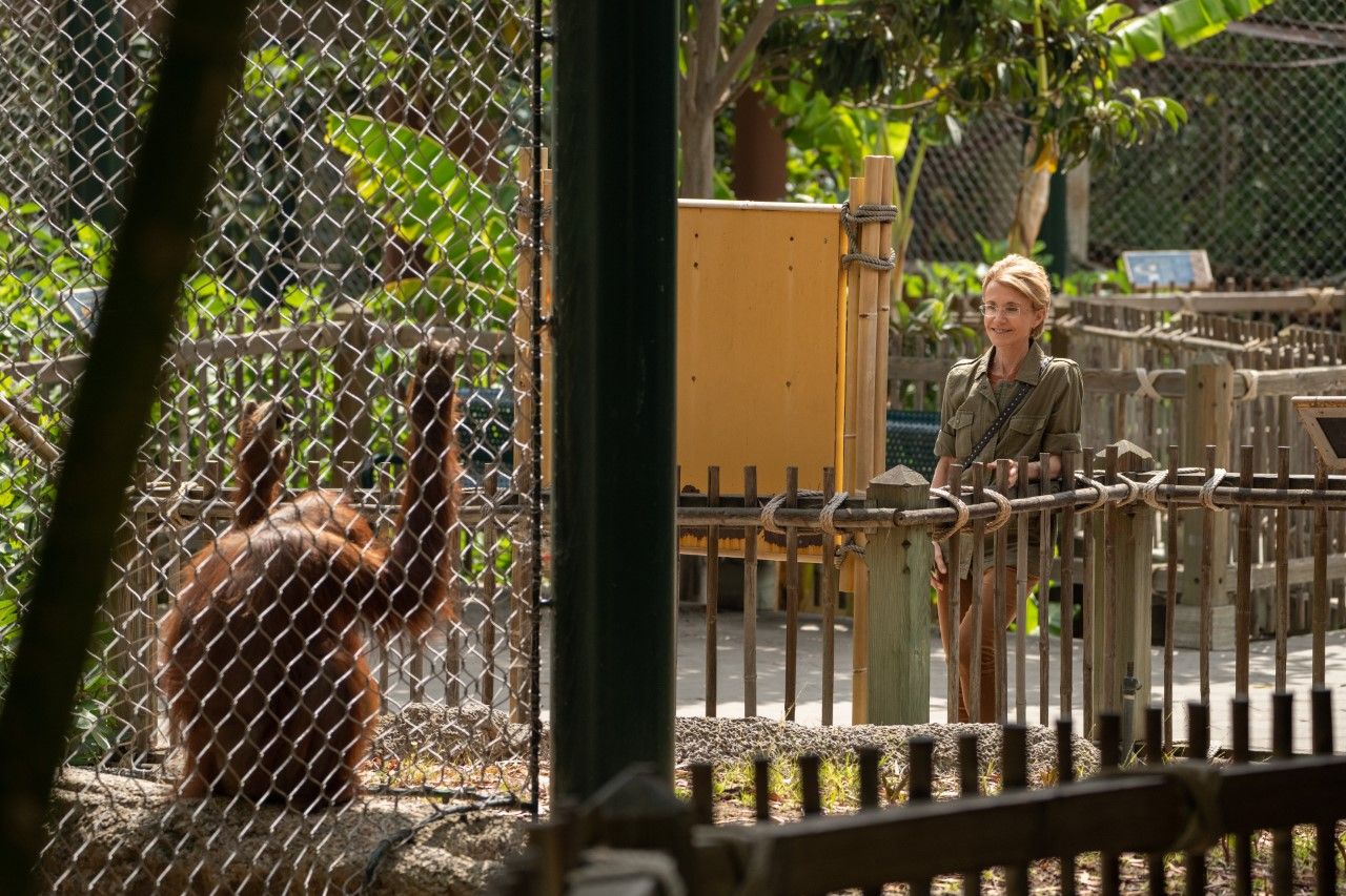 Dr. Barbara Natterson-Horowitz with orangutan at zoo