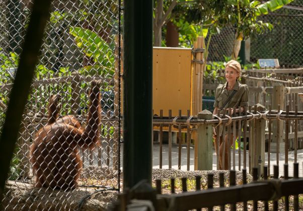 Dr. Barbara Natterson-Horowitz with orangutan at zoo