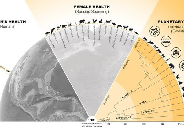 Graph illustrating women’s health, female health and planetary health