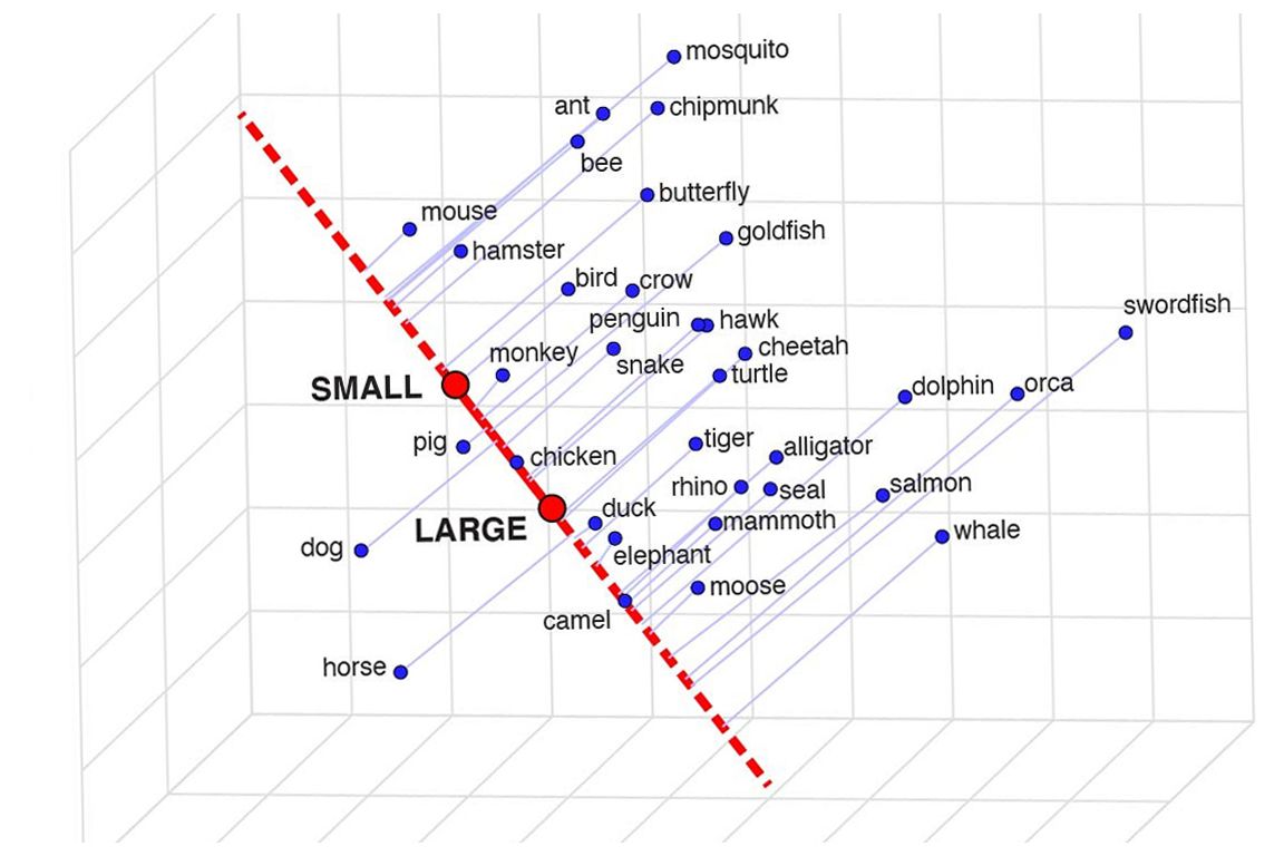 Word grid for animal size 