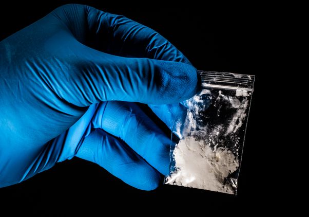 Gloved hand holding bag of powder