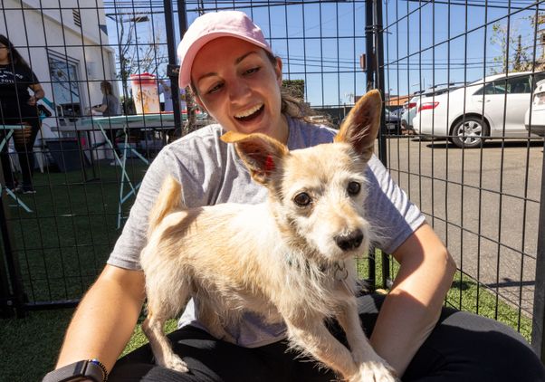 Puppy and woman Serve LA Day 2022