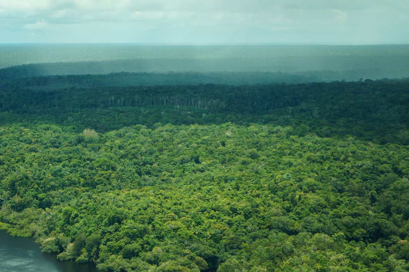 Aerial view of rainforest in Amazonas, Brazil