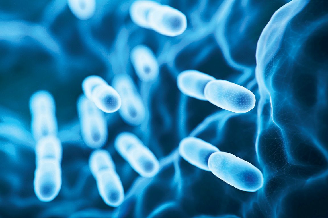 Gut microbiome