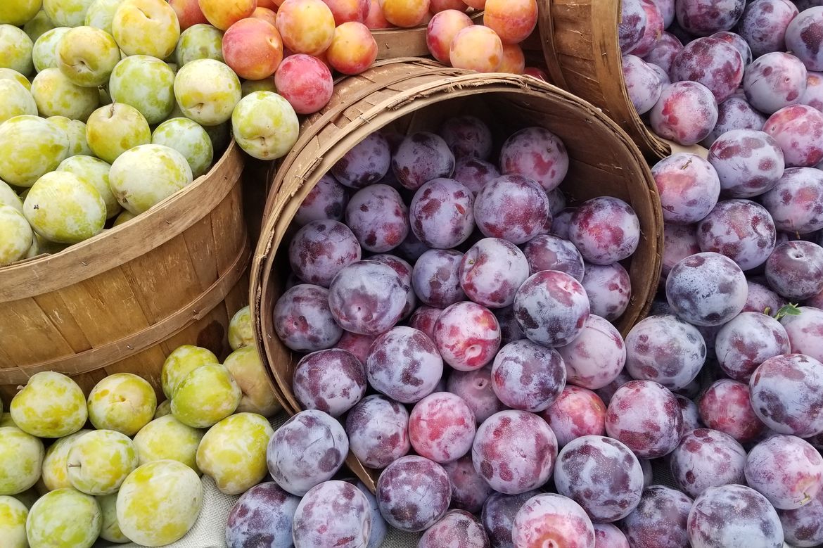 Fruit at farmers market