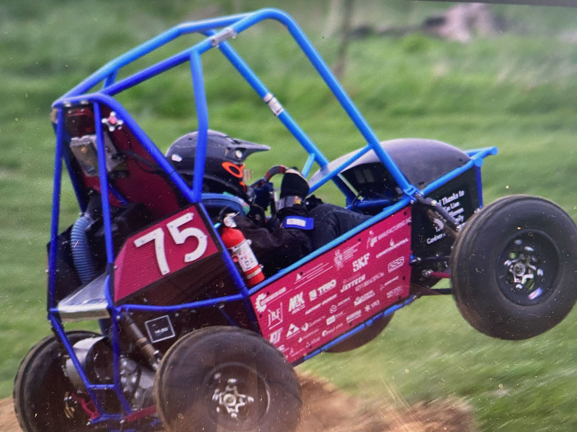 Baja pink model