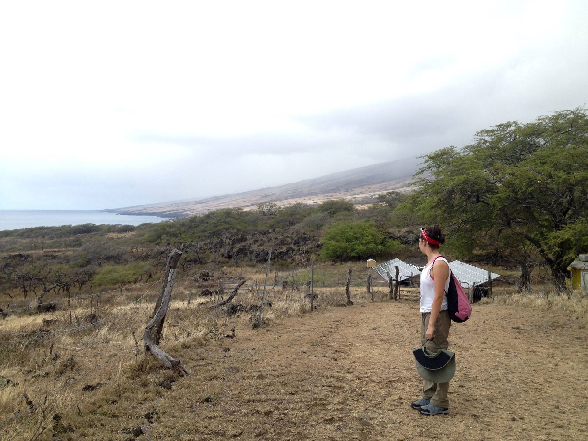 Danielle Kalani Heinz looks out at the Nuʻu landscape in Maui